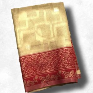 Elegant Tissue Saree